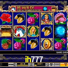 ih777 Rio de Janeiro - Bonus Terms